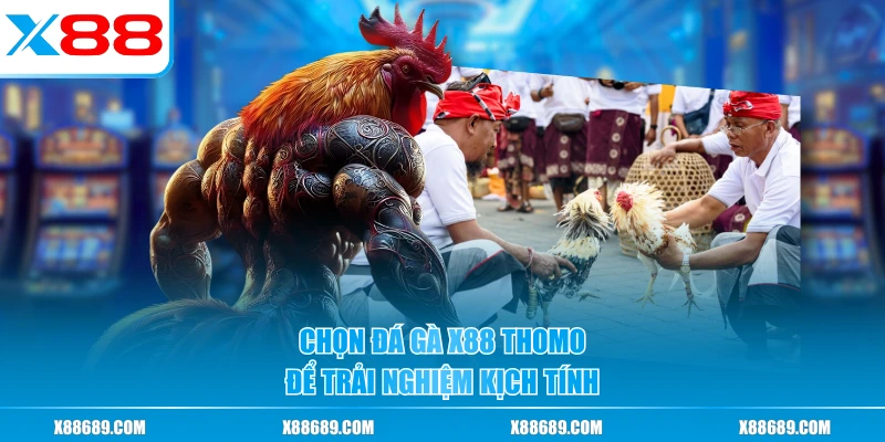 Đá Gà X88 - Sàn Đấu Gà Trực Tuyến Uy Tín, Tốc Độ Cao