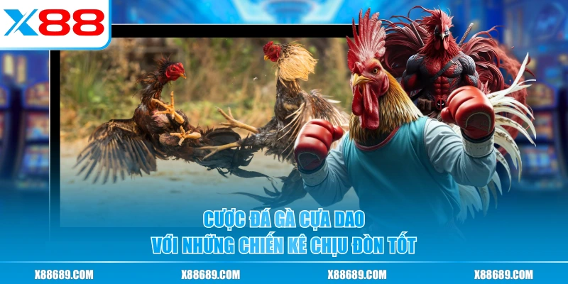 Đá Gà Cựa Dao - Các Pha Ra Đòn Sắc Bén Khiến Hội Viên Mê Mẩn