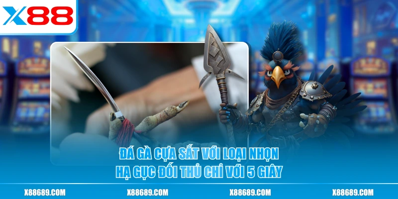Đá Gà Cựa Sắt - Môn Cá Cược Đỉnh Cao Cho Người Chơi Đam Mê