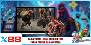 Đá Gà X88 - Sàn Đấu Gà Trực Tuyến Uy Tín, Tốc Độ Cao
