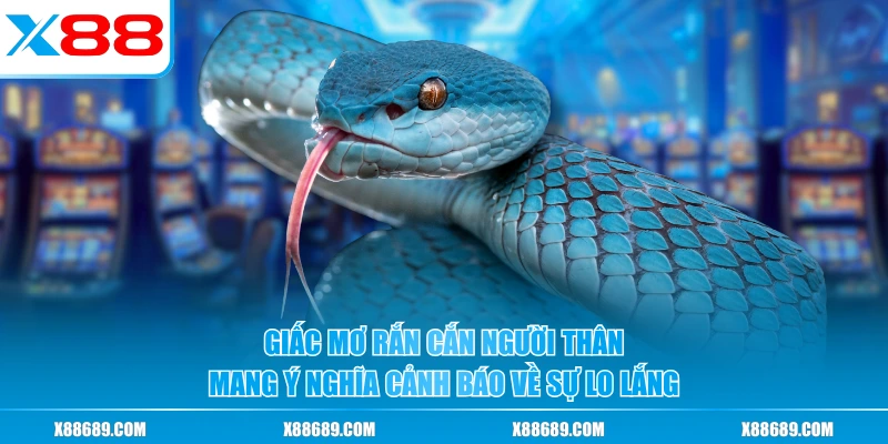 Mơ Thấy Rắn Cắn Đánh Gì? Ý Nghĩa Và Dàn Số Chuẩn Đẹp