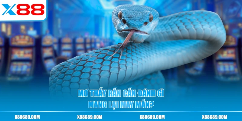Mơ Thấy Rắn Cắn Đánh Gì? Ý Nghĩa Và Dàn Số Chuẩn Đẹp