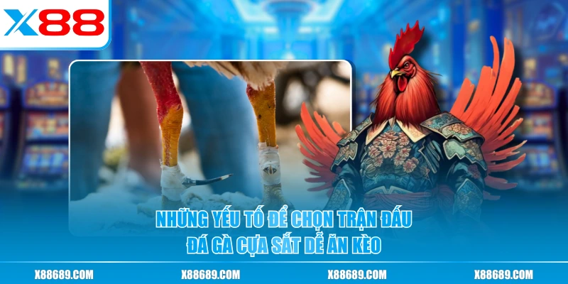 Đá Gà Cựa Sắt - Môn Cá Cược Đỉnh Cao Cho Người Chơi Đam Mê