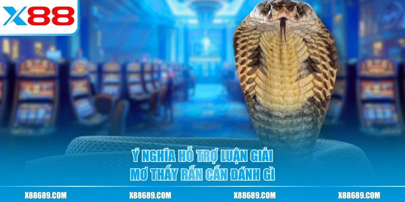 Mơ Thấy Rắn Cắn Đánh Gì? Ý Nghĩa Và Dàn Số Chuẩn Đẹp
